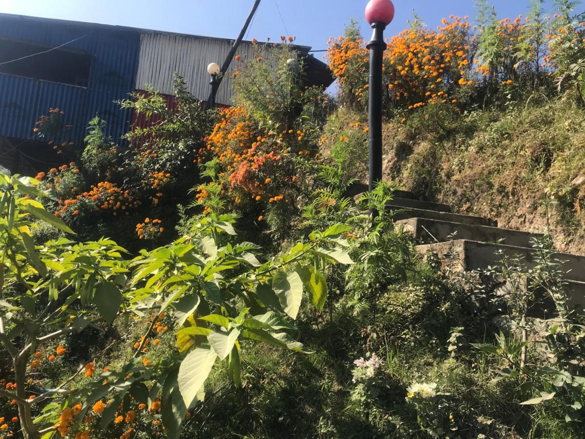 Sunrise Point Homestay ناغاركوت المظهر الخارجي الصورة